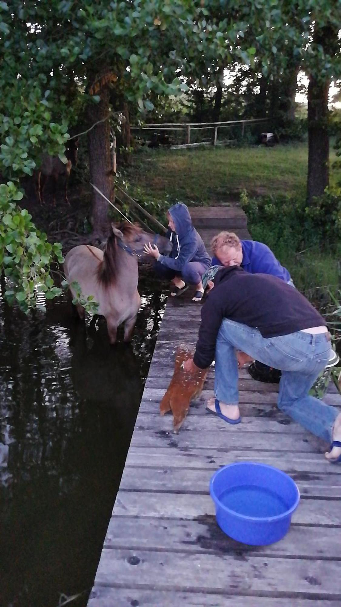 Komblowka Marcinowa Wola Exteriér fotografie