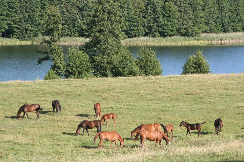 Komblowka Marcinowa Wola Exteriér fotografie